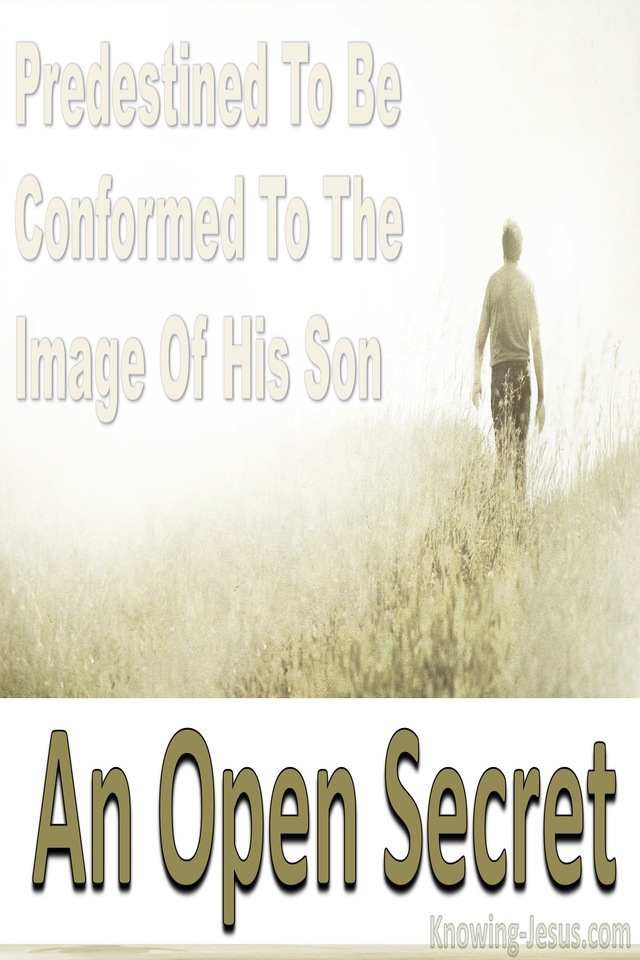 An Open Secret (devotional) (beige) Romans 8-29 